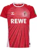Hummel 1.FC Köln Jersey 24/25 Away Kids sonstige 128 Produktbild-Vorschau 3