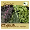 Samenliebe  Grünkohl Samen | Mischung mit Palmkohl aus 4 Produktbild-Vorschau 1