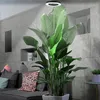 A large plant with a ring light above it, placed in a modern living room setting with a sofa and decorative pillows. Anteprima dell’immagine prodotto