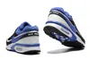 Air Max BW 'Persian Violet' 2021 DJ6124-001 Velikost: EU42 Náhled obrázku produktu 2