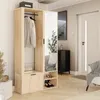 A hallway with a wardrobe, mirror, and shoes. Voir les images du produit