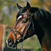 KAVALKADE Trense QUENTIN Ecoline englisch kombiniertes Produktbild-Vorschau 6