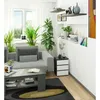 A modern living room scene featuring a gray sofa, coffee table, and a graphite gray and white nightstand with plants and decor. Produktbild-Vorschau