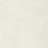 Wallface Muster 15610 Leguan | Design Pannello da parete Anteprima dell’immagine prodotto 5