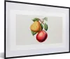 MuchoWow® Gerahmtes Poster Birne - Apfel - Obst 60x40 cm - Produktbild-Vorschau 1