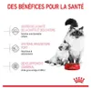 Royal Canin Mother & Babycat, Dospelý, Akékoľvek plemeno, Náhľad obrázku produktu 13