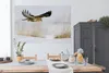 MuchoWow® Poster Bussard im Flug über verschneitem Boden in Produktbild-Vorschau 3