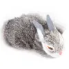 Lapin en peluche réaliste, haute simulation de poils de Voir les images du produit 1