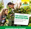 Neudorff Ekstrakt ze skrzypu polnego - 250 ml Podgląd zdjęcia produktu 6