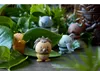 Hoptimist Soft Elephant S Grey Produktbild-Vorschau 9