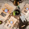 Schmetterlingswiese Samen für eine bunte Blumenwiese - Produktbild-Vorschau 6