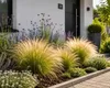 5 brins d'herbe ornementale "Stipa tenuissima", également Voir les images du produit 3