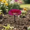 Vogeltränke aus Metall für Garten, wetterfest & rostfrei, Produktbild-Vorschau 5