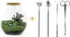 Urbanjngl Flaschengarten Teddy - 26.5 cm Produktbild-Vorschau 7