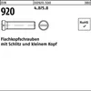 Reyher  Flachkopfschrauben DIN 920 4.8/5.8 M 3 x 8 (100 Produktbild-Vorschau 1