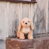 Steiff Berno Goldendoodle 36 beige 067075 Voir les images du produit 4