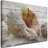 Leinwandbild Vintage-Muscheln 120x80 Feeby Beige bild für Produktbild-Vorschau 1