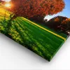 Bild auf Leinwand - Leinwandbild - Baum Park Frühling Herz Produktbild-Vorschau 5
