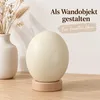 3 natürliche Straußeneier Deko-Eier, entleert, gereinigt & Produktbild-Vorschau 4