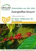 Artikelbild 1 von 'Zwergkaffee-Strauch' aus der Kategorie Exotische Samen Podgląd zdjęcia produktu