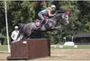 Waldhausen Equine Fusion Active Jogging Hufschuh Slim Produktbild-Vorschau 9