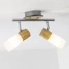 A ceiling light fixture with two adjustable spotlights, mounted on a white ceiling. Produktbild-Vorschau