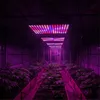 LED Pflanzenlampe 1000W Vollspektrum Panel, 225 LEDs Grow Produktbild-Vorschau 13