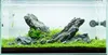 Pierres décoratives pour aquarium SCENERY STONE, pierre Voir les images du produit 7