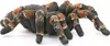 Schleich® Wild Life 14829 Tarantola Anteprima dell’immagine prodotto 3
