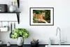 MuchoWow® MuchoWow® Gerahmtes Poster Tiger - Baum - Blätter Produktbild-Vorschau 4