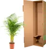 Złota palma owocowa - Areca - Ø24cm - ↕130cm Podgląd zdjęcia produktu 14