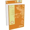 Calligraphe bloc-notes Forever, A4, 100 feuilles, quadrillé Voir les images du produit 1