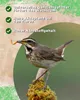 Futterbauer 10 kg Mehlwürmer Vogelfutter Hühnerfutter Produktbild-Vorschau 4