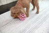 JW HOL-EE roller MEDIUM jouet pour chiens MEDIUM 11,5cm Voir les images du produit 3