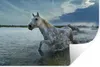 MuchoWow® - Selbstklebend - Fototapeten Produktbild-Vorschau 1