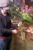 Felco 310 Leseschere Gartenschere Rosenschere Rebschere Náhled obrázku produktu 5