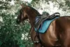 Kentucky Horsewear Pad sella da salto in velluto Pad sella Anteprima dell’immagine prodotto 5
