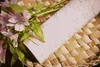 A.S. Création Tapete mit Ästen Trendwall 2 Vliestapete rosa Produktbild-Vorschau 14