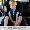 Avova Reboarder-Kindersitz Sperber-Fix i-Size 40 Produktbild-Vorschau 7