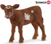 Texas Longhorn Kalb Anteprima dell’immagine prodotto 2
