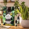 LECHUZA substrát pre rastliny LECHUZA-PON 12 litrov | Náhľad obrázku produktu 13