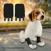A stuffed dog wearing leg braces, with a pair of leg braces shown separately in the background. Voir les images du produit