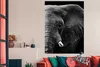 MuchoWow® Poster Tiere - Elefant - Wild - Schwarz - Weiß Produktbild-Vorschau 3