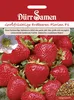 Dürr-Samen - Erdbeeren Florian F1 - Saatgut - 1004 Produktbild-Vorschau 1