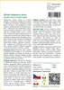 SAFLAX - Africký tulipánový strom - Spathodea campanulata - Náhled obrázku produktu 3