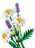LEGO Botanicals 11508 Daisies - Artificial Bouquet Set for Productafbeelding-voorbeeld 4