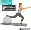 SCHILDKRÖT Gymnastikball Durchmesser: 650 mm silber Produktbild-Vorschau 15