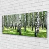 Acrylglasbilder 125x50 Wandbild Druck Wald Natur Produktbild-Vorschau 2