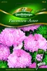 Paeonien-Astern Turm rosa von Quedlinburger Saatgut | Produktbild-Vorschau 1