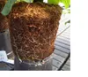 12 x Humusziegel, Palmenerde, Anzuchterde Quellerde Produktbild-Vorschau 3